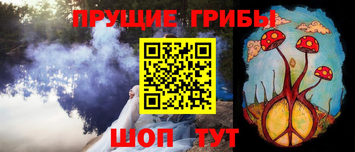 Псилоцибиновые грибы GOLDEN TEACHER  Вход с VPN  Псилоцибиновые грибы ЛСД  Электросталь 